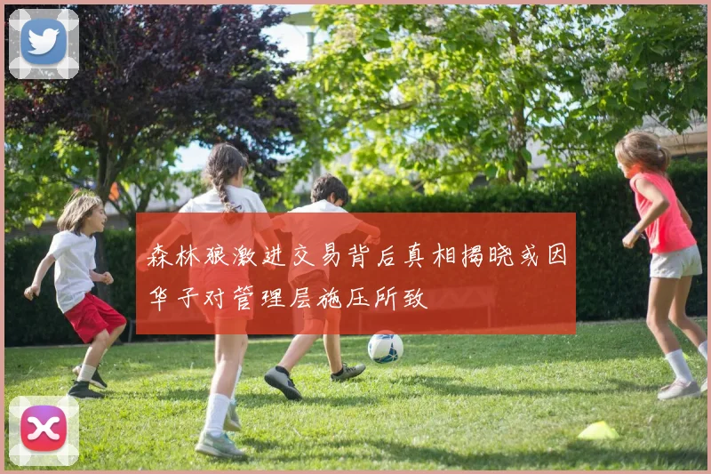 森林狼激进交易背后真相揭晓或因华子对管理层施压所致